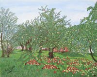 Hillwood Orchard