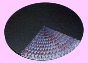Section of honeycomb disc