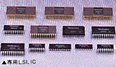 The 12 LSI chips